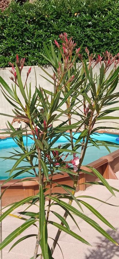 Bed and Breakfast A Casa Di Anna Vaglio Serra Екстер'єр фото