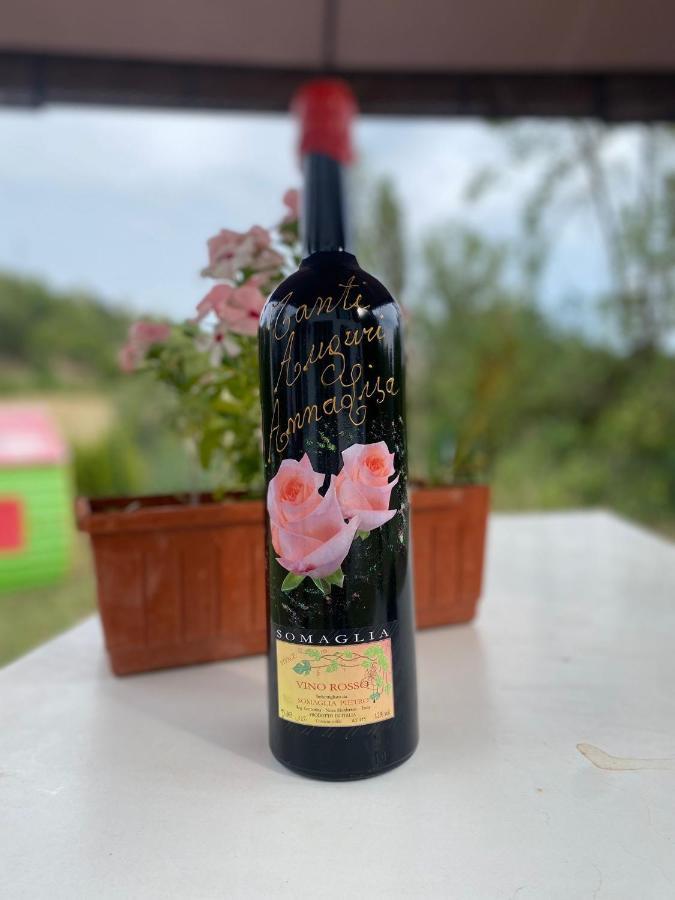 Bed and Breakfast A Casa Di Anna Vaglio Serra Екстер'єр фото